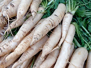 Daikon reddik