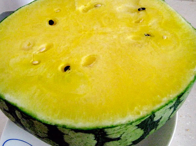 Gul vannmelon