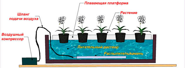 Schemat hydroponiki