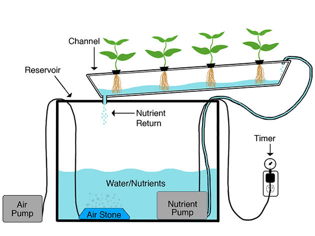 Schemat hydroponiki