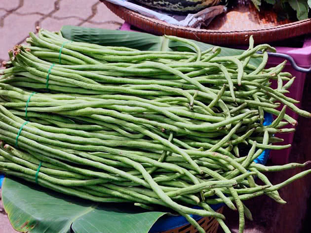 Cowpea